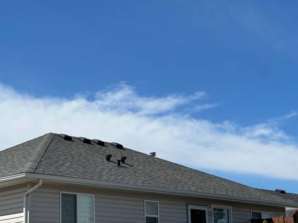 Best Solar Panel Roofing Installation  in La Blanca, TX
